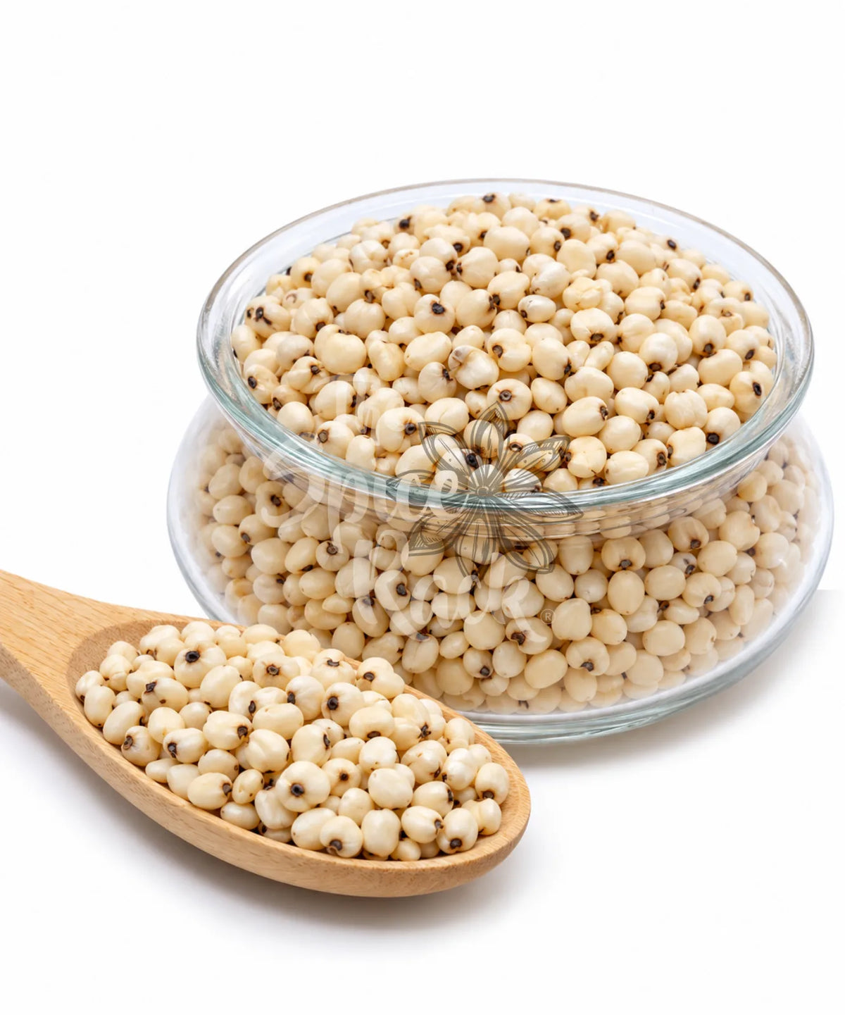 Jowar White  الذرة الرفيعة البيضاء