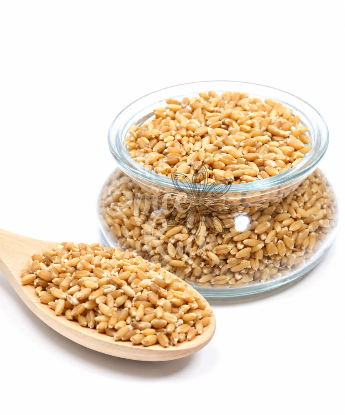 Whole Wheat  قمح كامل