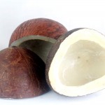 DRY COCONUT  – جوز الهند الجاف