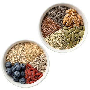 SEEDS & HEALTH FOODS