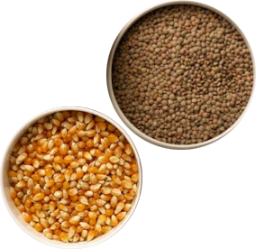 MILLET & GRAINS